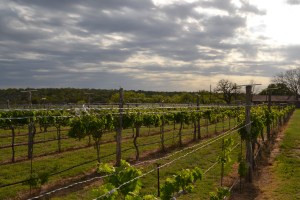 Another Point of View