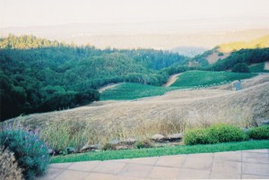 My First Glimpse, 2004 