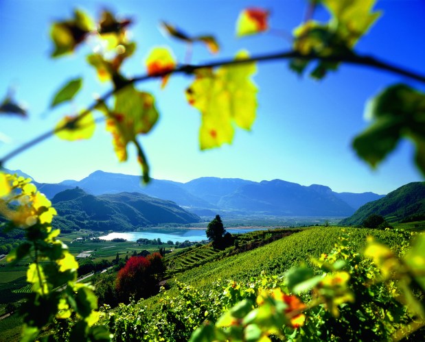 Alto Adige - Südtirol Lake Caldaro (Kaltern).jpg